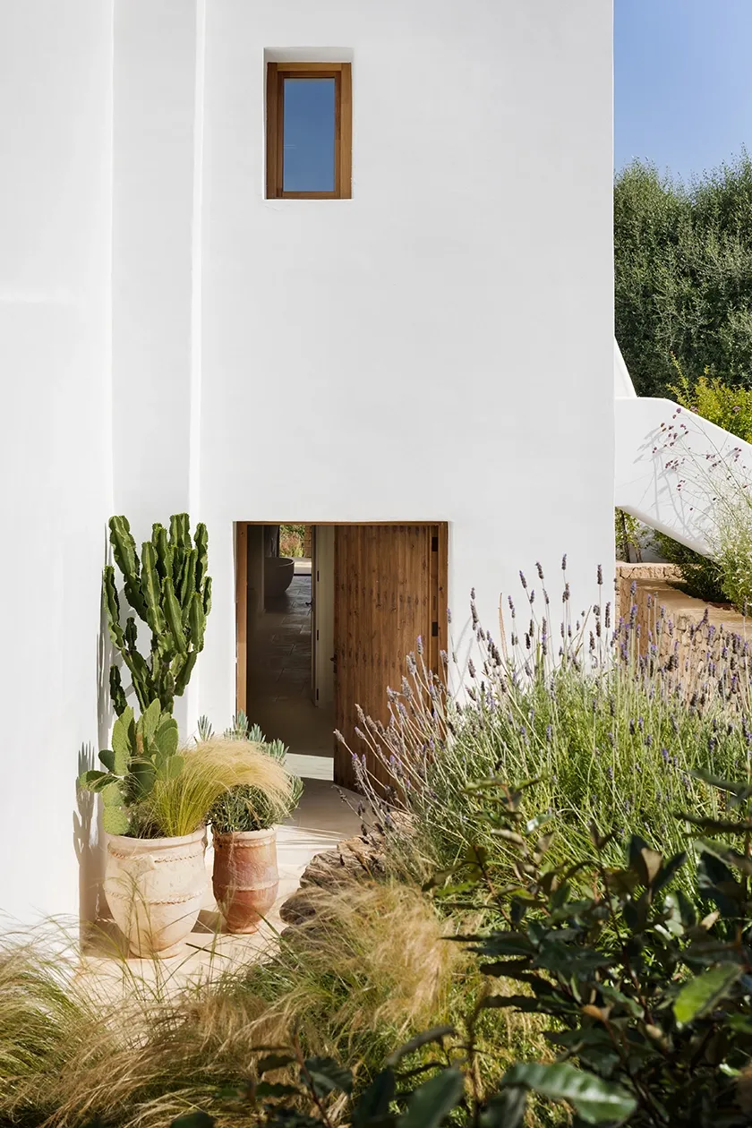 White façade of Bougainvillea Villa in Ibiza with a wooden door, framed window and Mediterranean garden with cactus and lavender.
